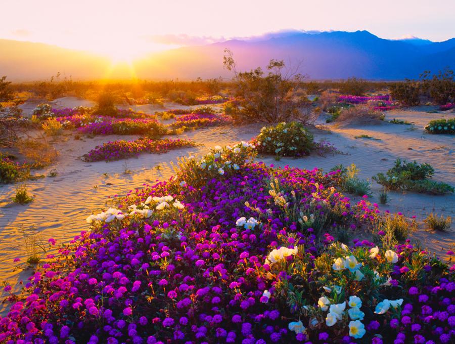 Who wouldnt love this?