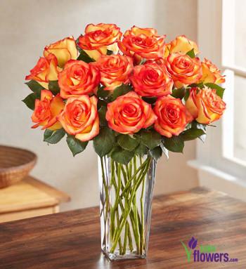High and Magic Roses,  Stems