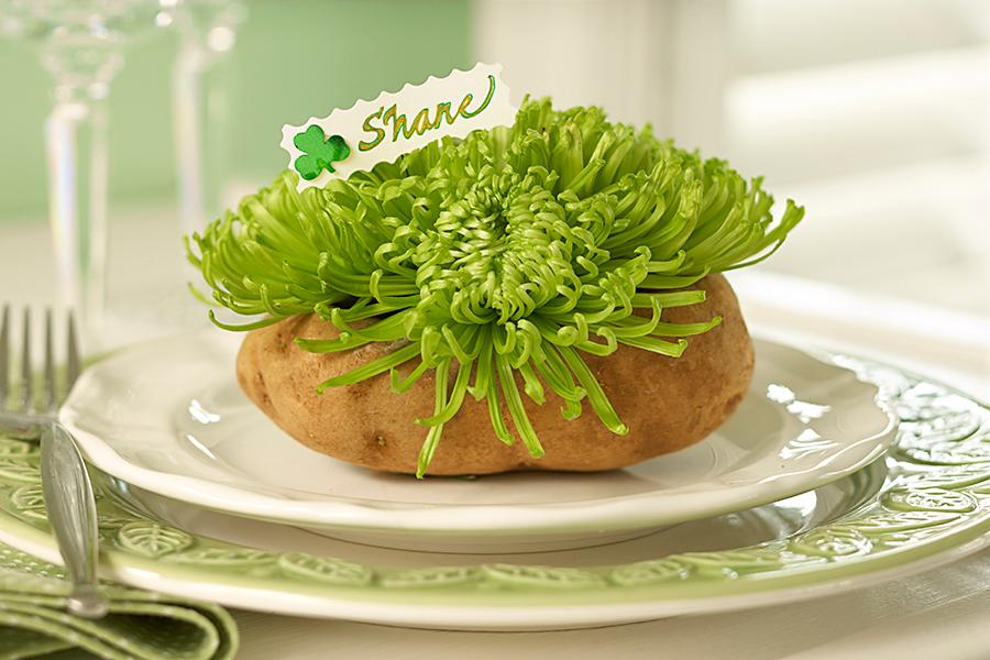 vegetable vase ideas with potato
