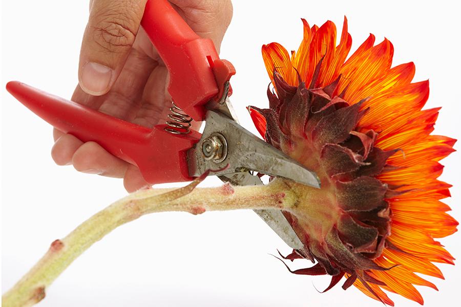 sunflower candle holder with cutting stem