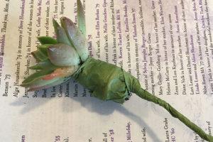 With kindness