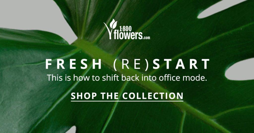 fresh restart office collection ad