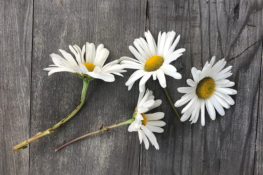 With kindness