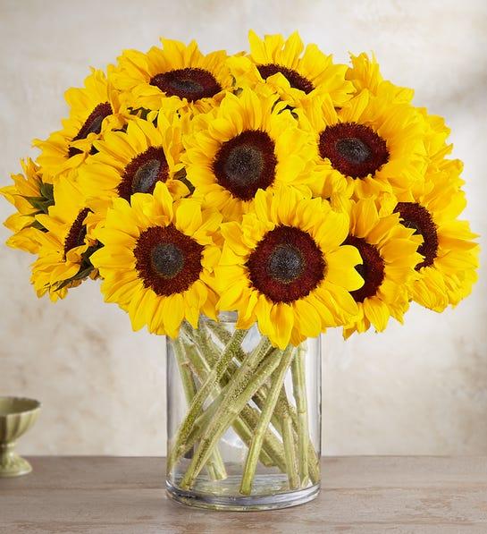 Sunflower Bouquet