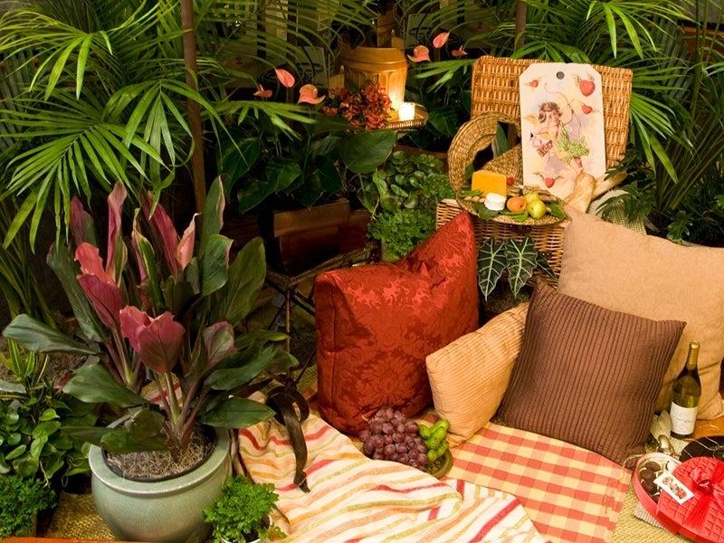 Julie dinning garden eden F plants