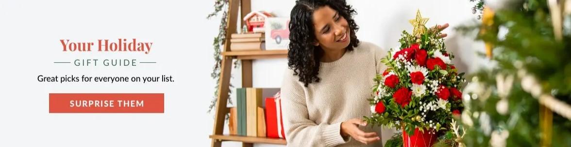 Your Holiday Gift Guide Collection Banner Ad